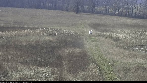 Cell 1 to 2_24-03-13_16-55-19-14