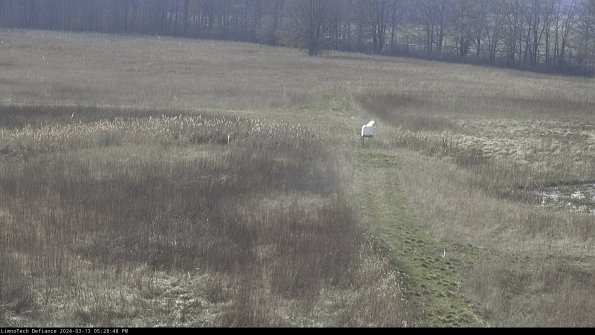 Cell 1 to 2_24-03-13_17-28-49-16