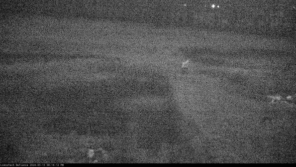 Cell 1 to 2_24-03-13_20-16-13-15