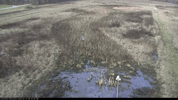 Cell 1_24-03-13_08-32-40-13