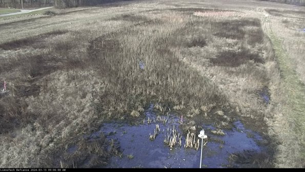 Cell 1_24-03-13_09-06-09-14