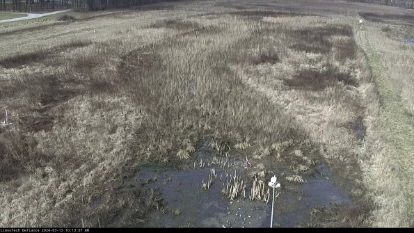 Cell 1_24-03-13_10-13-08-11