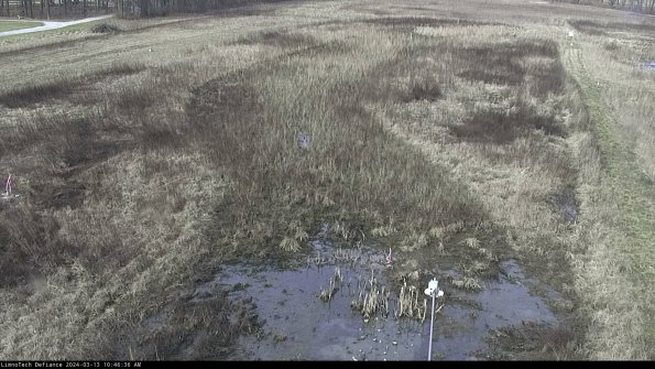 Cell 1_24-03-13_10-46-37-13