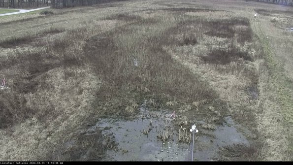 Cell 1_24-03-13_11-53-37-14