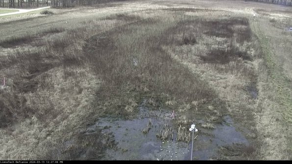 Cell 1_24-03-13_12-27-07-12