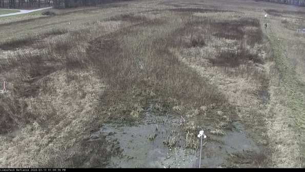 Cell 1_24-03-13_13-00-37-15