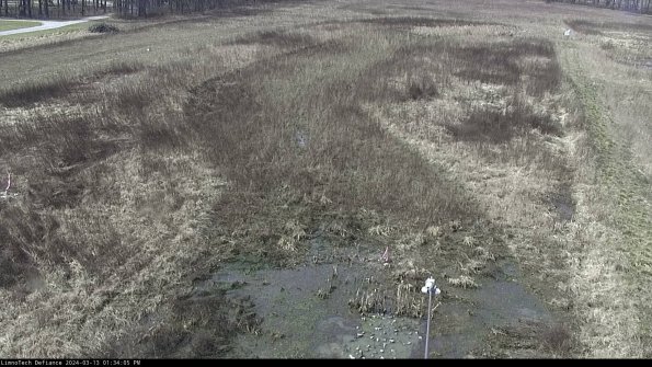 Cell 1_24-03-13_13-34-06-13