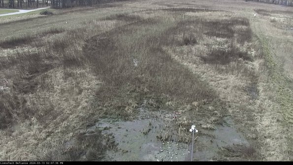 Cell 1_24-03-13_14-07-37-15