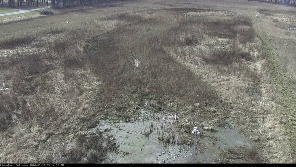 Cell 1_24-03-13_15-14-37-13