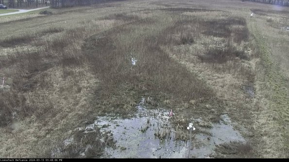 Cell 1_24-03-13_15-48-07-15