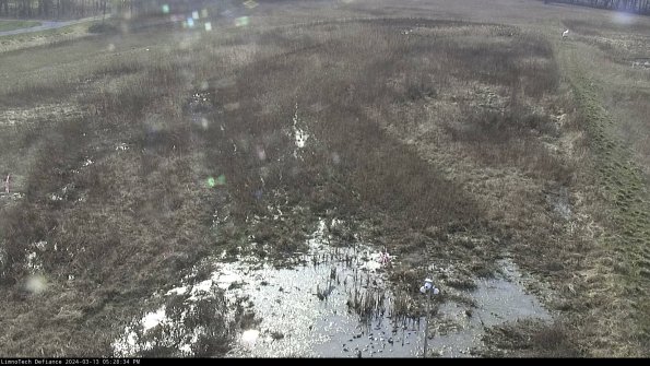 Cell 1_24-03-13_17-28-35-15