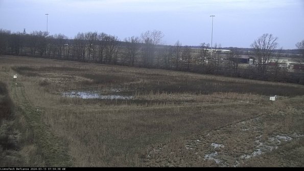 Cell 2_24-03-13_07-59-39-17