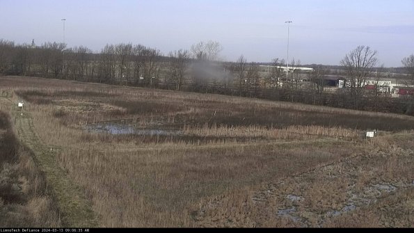 Cell 2_24-03-13_09-06-36-17