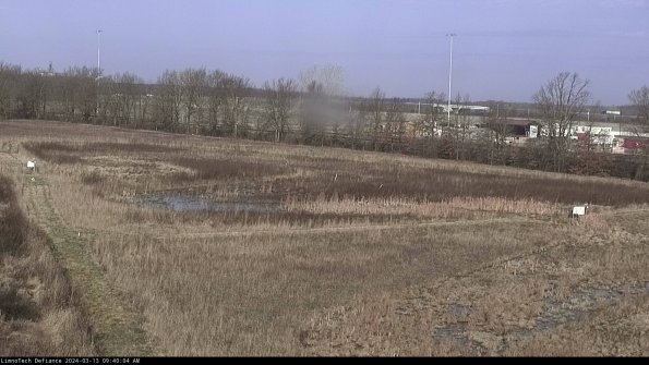 Cell 2_24-03-13_09-40-05-15