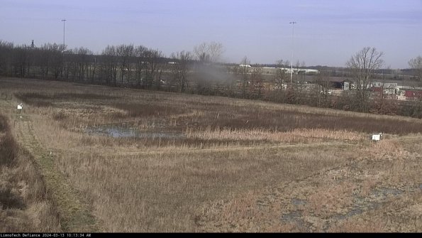 Cell 2_24-03-13_10-13-35-14