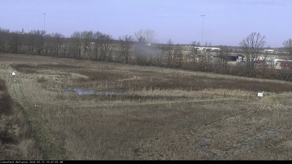 Cell 2_24-03-13_10-47-04-16