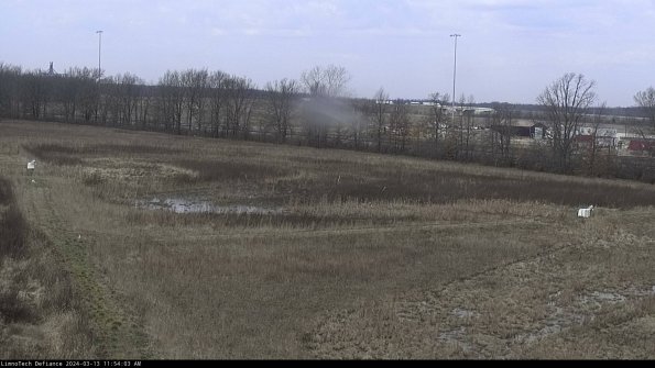 Cell 2_24-03-13_11-54-04-20