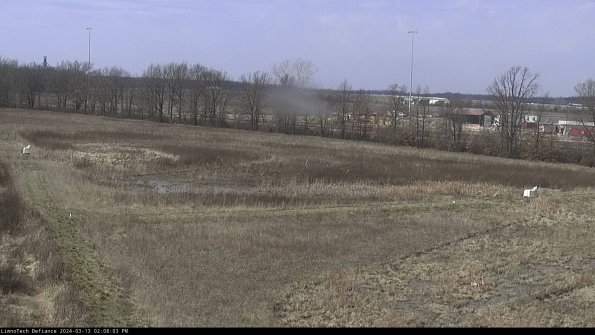 Cell 2_24-03-13_14-08-04-18