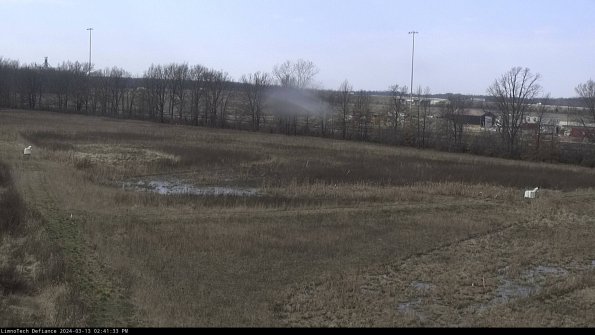 Cell 2_24-03-13_14-41-34-14