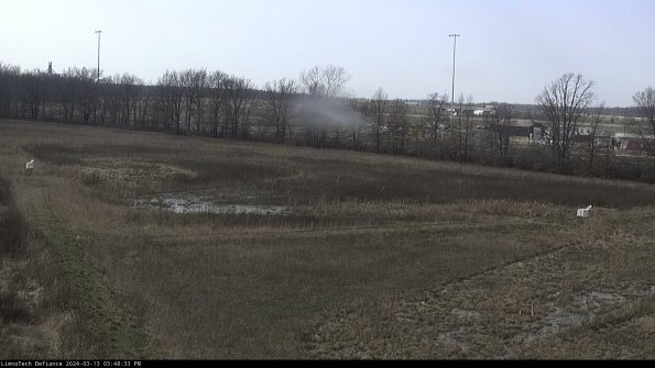 Cell 2_24-03-13_15-48-34-18