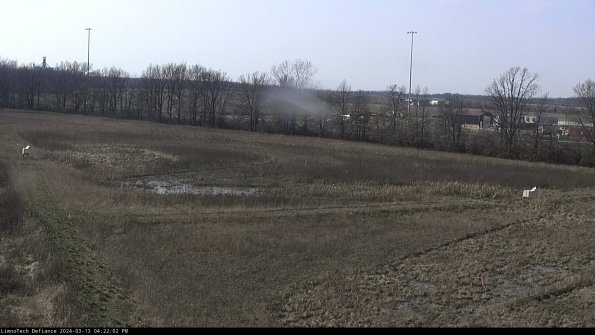 Cell 2_24-03-13_16-22-03-20