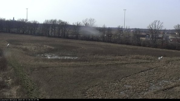 Cell 2_24-03-13_16-55-32-19