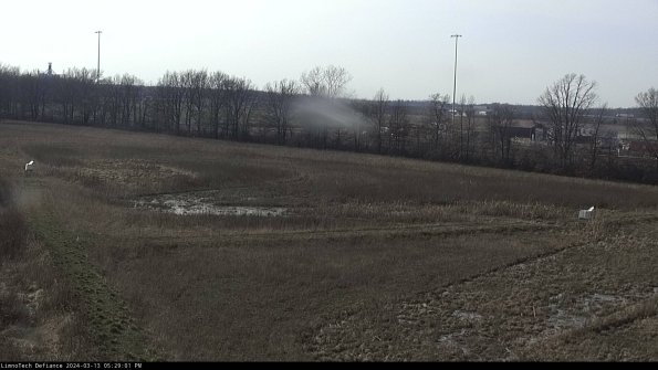 Cell 2_24-03-13_17-29-02-14