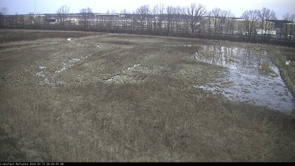 Cell 3_24-03-13_08-00-06-43