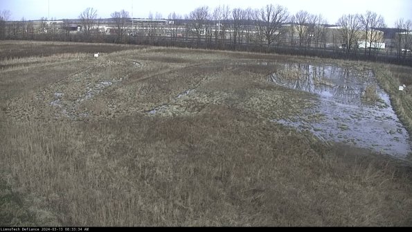 Cell 3_24-03-13_08-33-35-15