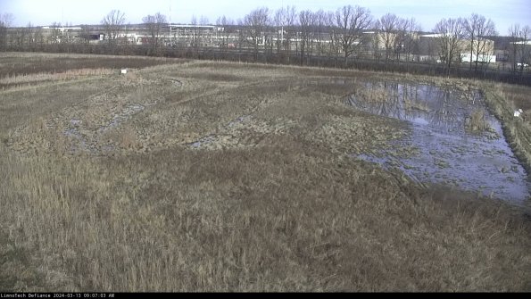 Cell 3_24-03-13_09-07-04-13