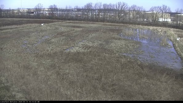 Cell 3_24-03-13_10-14-03-13