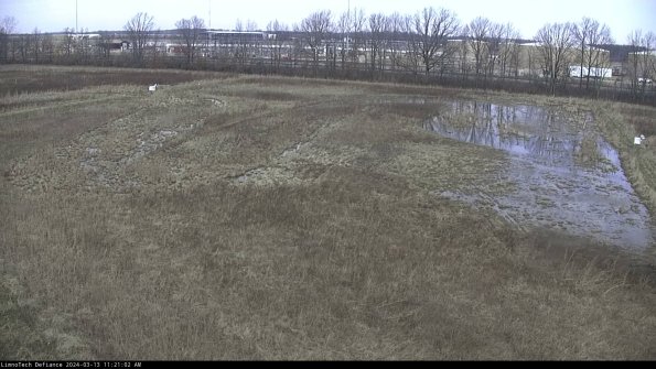 Cell 3_24-03-13_11-21-03-14