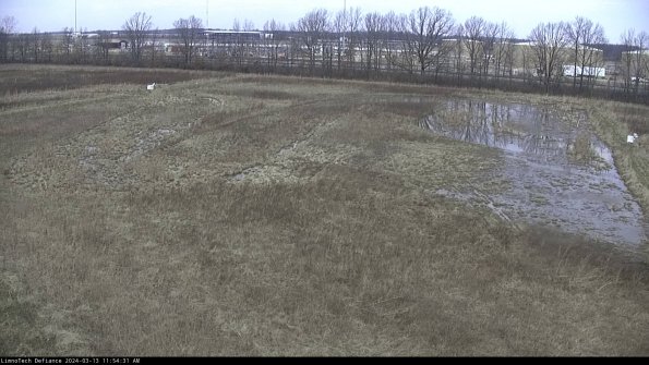 Cell 3_24-03-13_11-54-32-13