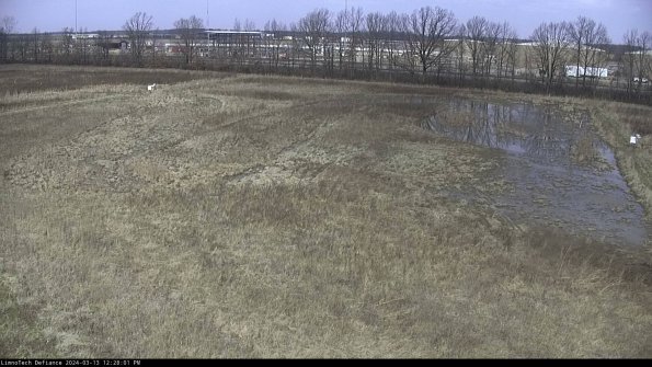 Cell 3_24-03-13_12-28-02-15