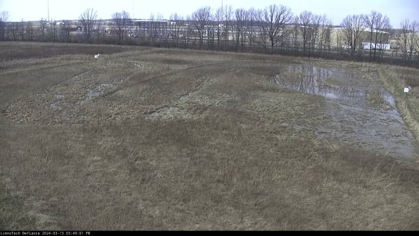 Cell 3_24-03-13_15-49-02-14