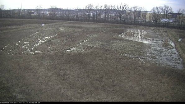 Cell 3_24-03-13_19-43-25-34