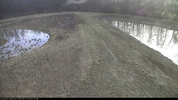 Cell 4 to Basin_24-03-13_08-34-33-14