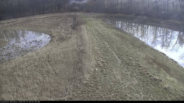 Cell 4 to Basin_24-03-13_09-41-31-14