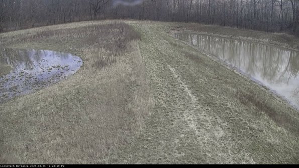 Cell 4 to Basin_24-03-13_12-29-00-17