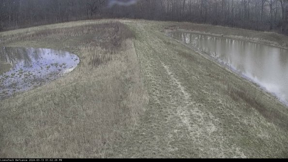 Cell 4 to Basin_24-03-13_13-02-30-16