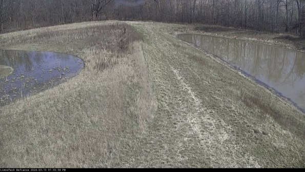 Cell 4 to Basin_24-03-13_13-35-59-15