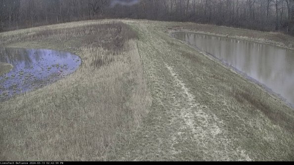 Cell 4 to Basin_24-03-13_14-43-00-12