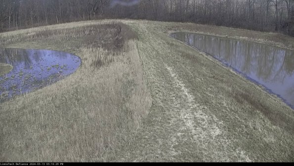 Cell 4 to Basin_24-03-13_15-16-30-14