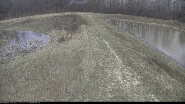 Cell 4 to Basin_24-03-13_15-50-00-16