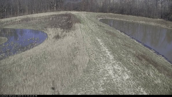 Cell 4 to Basin_24-03-13_16-23-29-12