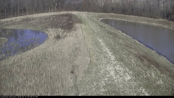 Cell 4 to Basin_24-03-13_16-56-58-17