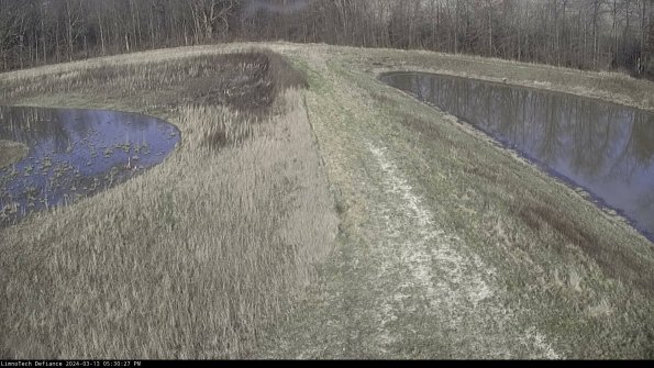 Cell 4 to Basin_24-03-13_17-30-28-16