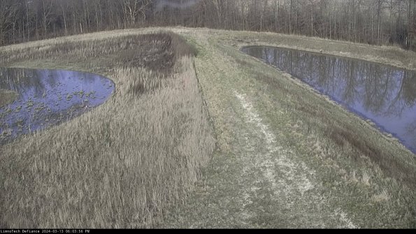 Cell 4 to Basin_24-03-13_18-03-57-15