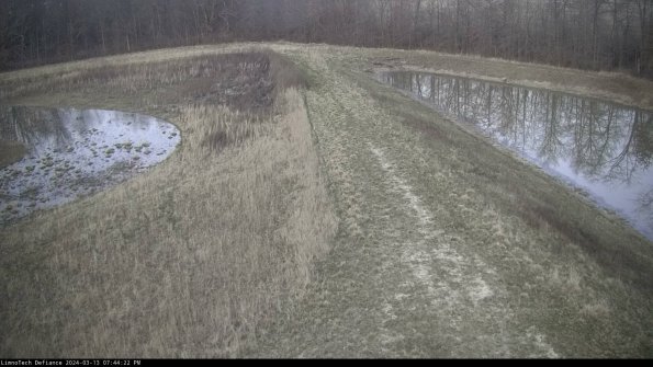 Cell 4 to Basin_24-03-13_19-44-23-13