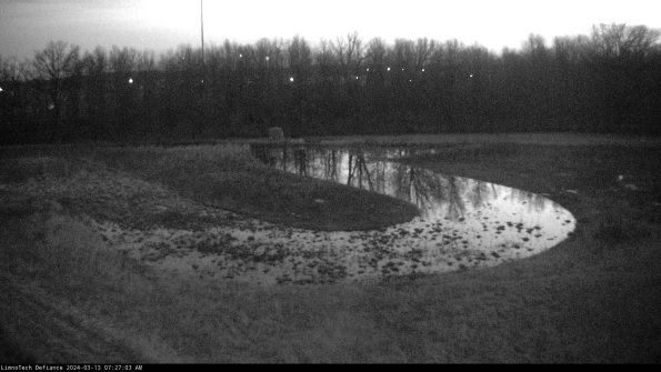 Cell 4_24-03-13_07-27-04-11